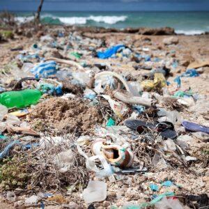 Ocean plastic