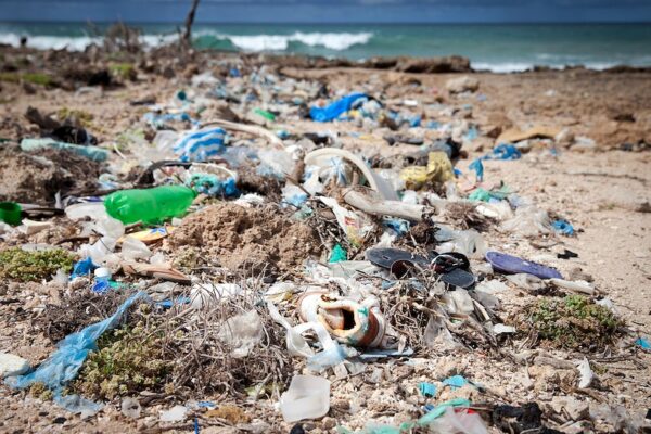 Ocean plastic